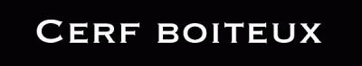 logo Cerf Boiteux